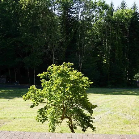 Spinnertonihof Bad Peterstal-Griesbach Buitenkant foto