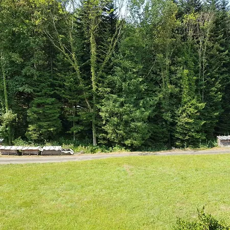 Spinnertonihof Bad Peterstal-Griesbach Buitenkant foto