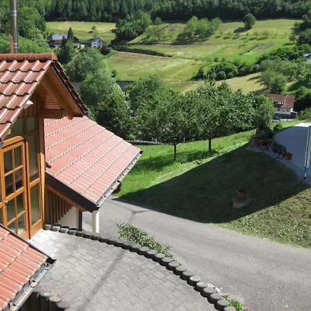 Spinnertonihof Bad Peterstal-Griesbach Buitenkant foto